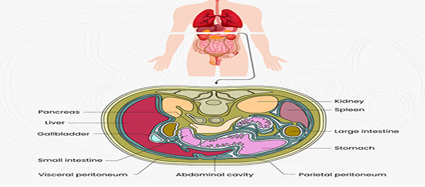 Best Surgical Oncologist in  Raipur,Chhattisgarh