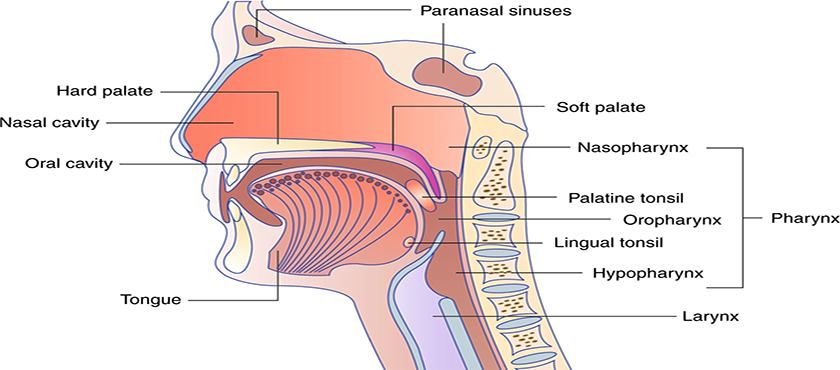 Best Surgical Oncologist in  Raipur,Chhattisgarh