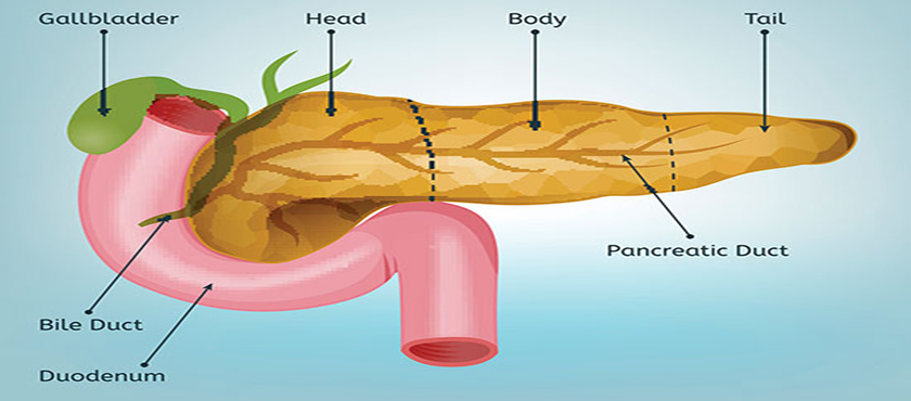 Best Surgical Oncologist in  Raipur,Chhattisgarh